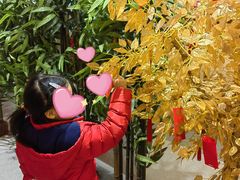 -郑百万·百万卤鹅重庆菜馆·家宴旗舰店(动物园店)