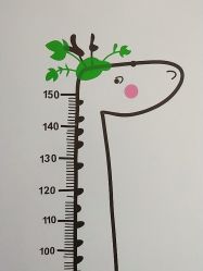 点击看大图 -杭州贝瑞斯美华妇儿医院·早孕·产检·儿科