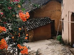 -杨家堂村