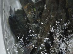 -乡土特色.冷锅鱼.牦牛肉汤锅