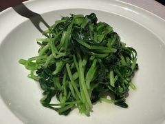 鸡毛菜-许家菜(DT51店)