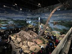 -自贡恐龙博物馆