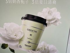-爷爷不泡茶 NOYEYENOTEA(长沙五江天街店)