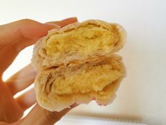 -北京稻香村(田村店)