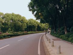 -武汉大学-樱园