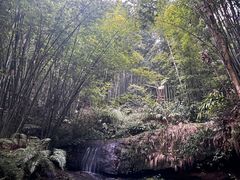 -蜀南竹海景区