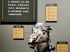 -闵行博物馆