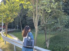 -火炉山森林公园