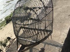 -北海金海湾红树林生态旅游区