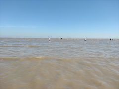 -南汇嘴观海公园