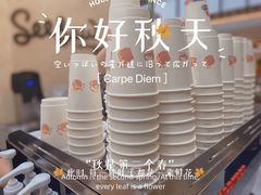 -Seesaw Coffee(上海太阳宫K46店)