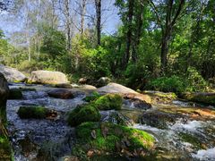 -玉渡山自然风景区