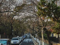 -八大关景区