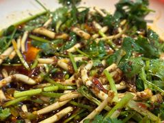 凉拌折耳根-兔槽江湖菜·重庆璧山兔(水围店)