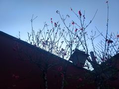 -乌山风景区