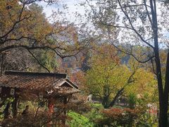 -塔川景区