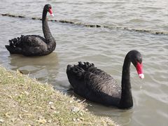 -西山漾湿地公园