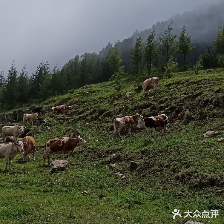 一脚踏两省的跑泉厂村