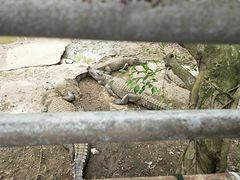 -广东茂名森林公园