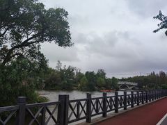 -上海长兴岛郊野公园