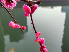 -望江楼公园
