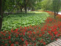 -丰台花园