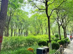 -大兴滨河森林公园