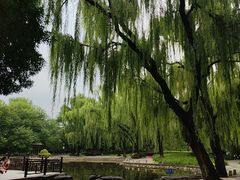 -玲珑塔公园