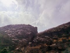 -妙峰山风景名胜区