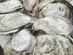 -蚝专家(北滘店)