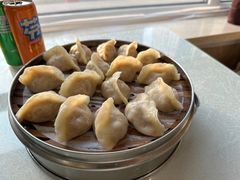 酸菜猪肉饺子-王厚元饺子·辽菜(浑南店)