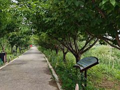 -淇河国家湿地公园