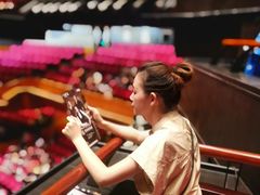 -顺德演艺中心大剧院