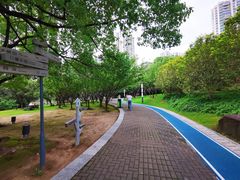 -苏州河梦清园环保主题公园