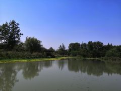 -桤木河湿地公园