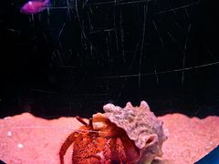 -欢乐海岸海洋奇梦馆