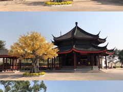 -广东圆玄道观