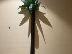 -汤泉良子.足疗按摩.SPA(中关村店)