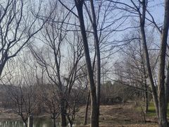 -梁鸿国家湿地公园