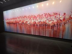 -罗红摄影艺术馆