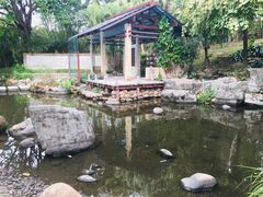 -深圳国际园林花卉博览园