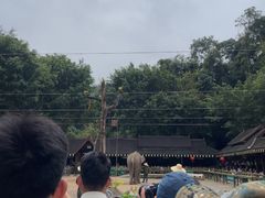 -野象谷景区