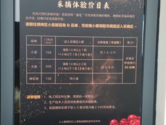 -菊园百果园