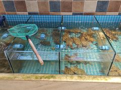 -妈妈菜舟山海鲜(定海古城店)