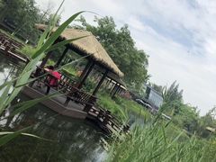 -成飞公园