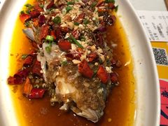 -杨氏青龙虾·羊蝎子(金盛路总店)