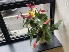 -章氏(广粤路店)