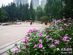 -温江公园