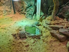 -广州长隆飞鸟乐园