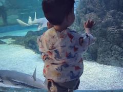 -南昌融创海世界